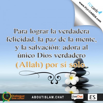 To have real happiness, peace of mind, and salvation: Worship the One true God (Allah) alone. 