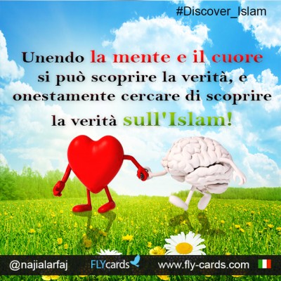With a mind and heart set on discovering the truth, honestly try to find out the truth about Islam!