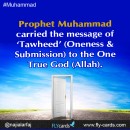 Prophet Muhammad carried the message of tawheed (oneness & submission) to the one true God allah 