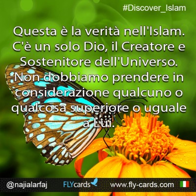 This is the truth in Islam. There is only one God, the Creator and Sustainer of the Universe. We must not consider anyone or anything above or equal to Him.