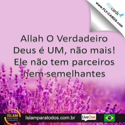 Allah O Verdadeiro Deus é UM, não mais! Ele não tem parceiros nem semelhantes.