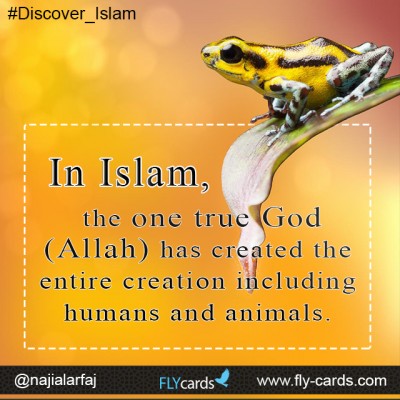 In Islam, the one true God (Allah) has created the entire creation including humans and animals. 