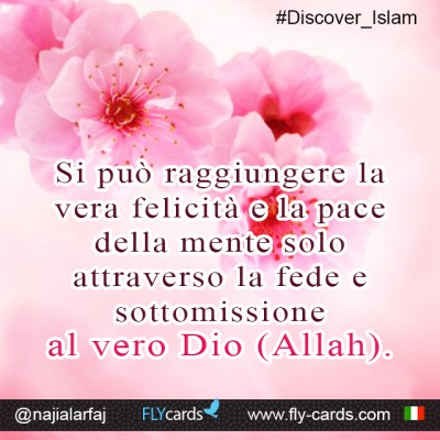 One can attain real happiness and peace of mind only through belief in and submission to the one true God (Allah).
