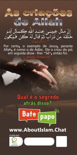 card8-por