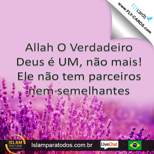 Allah O Verdadeiro Deus é UM, não mais! Ele não tem parceiros nem semelhantes.