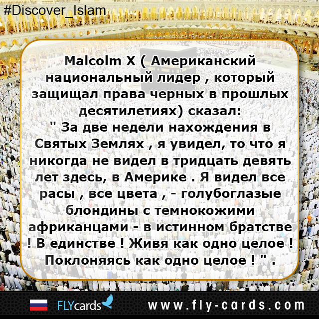 Malcolm X “In two weeks in the Holy Land, I saw what I never had seen in thirty-nine years here in America. 