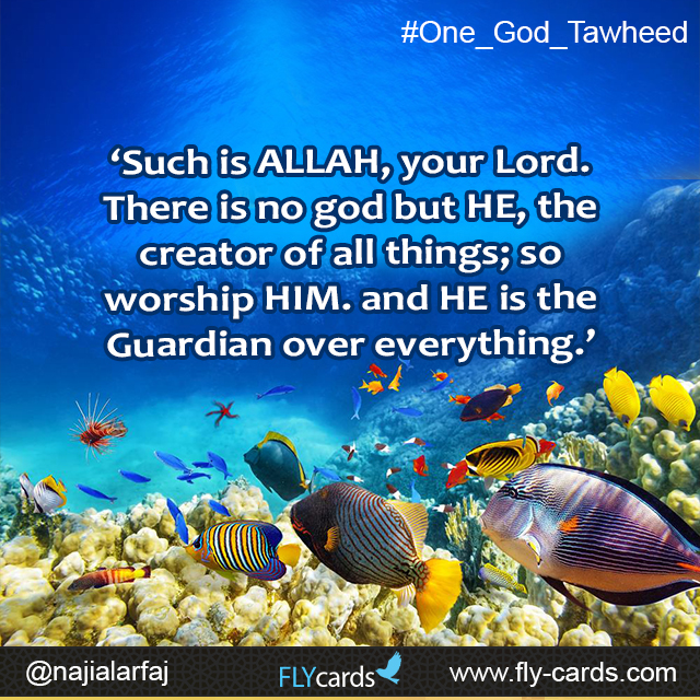 ‘Such is ALLAH, your Lord. There is no god but HE, the creator of all things; so worship HIM. and HE is the Guardian over everything.’  