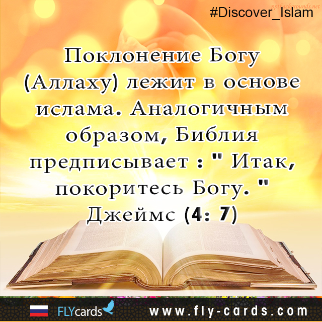 Submission to God (Allah) is the essence of Islam. Similarly, the Bible commands:  “Submit yourselves therefore to God.” James (4:7)