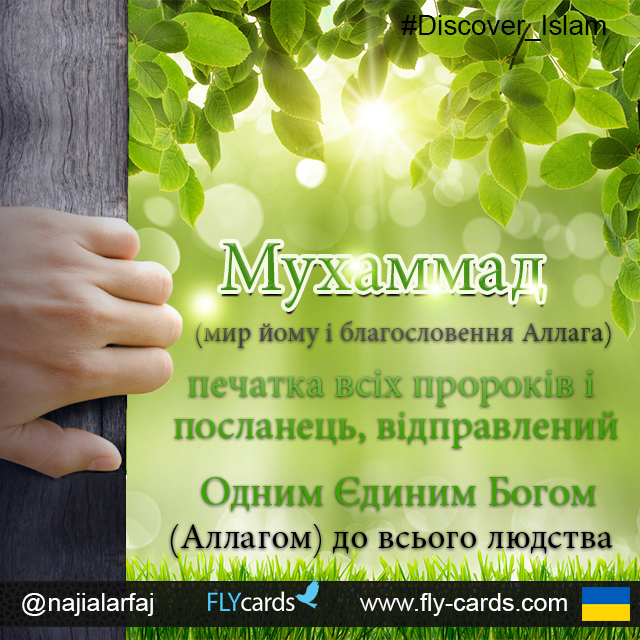 card-2072