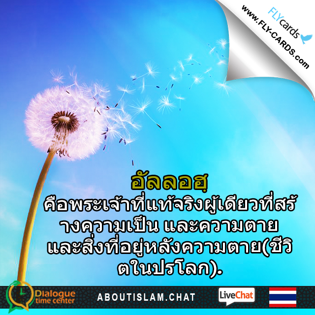 บัตร-2536