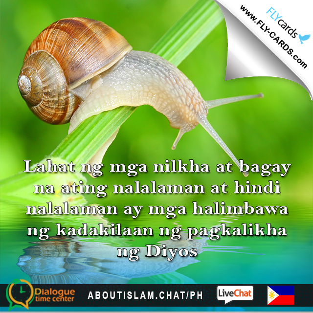 All creatures and objects, which we may or may not know, are examples of God’s great creation.