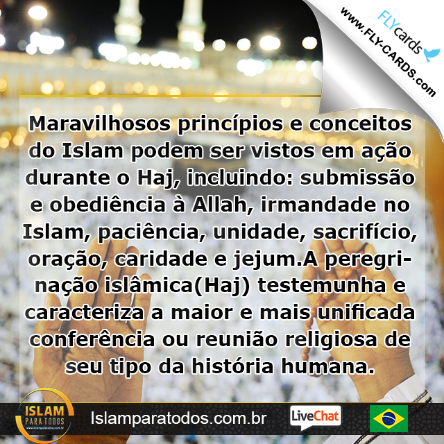 Maravilhosos princípios e conceitos do Islam podem ser vistos em ação durante o Haj, incluindo: submissão e obediência à Allah, irmandade no Islam, paciência, unidade, sacrifício, oração, caridade e jejum.