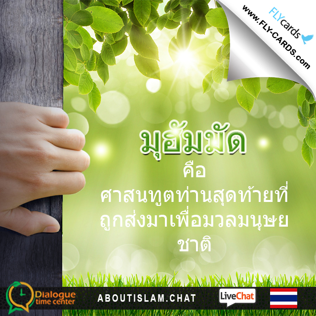 บัตร-2519