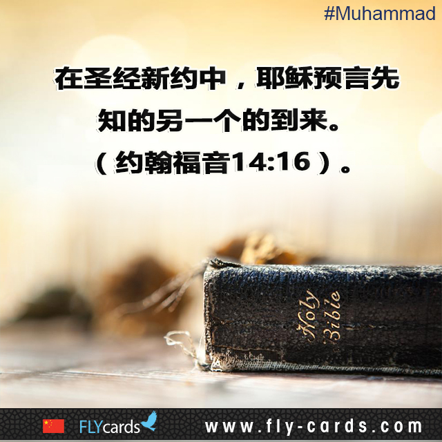 In the New Testament of the Bible, Jesus prophesied the coming of another Prophet.  (John 14:16). 