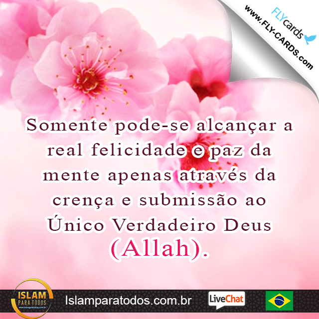 Somente pode-se alcançar a real felicidade e paz da mente apenas através da crença e submissão ao Único Verdadeiro Deus(Allah).