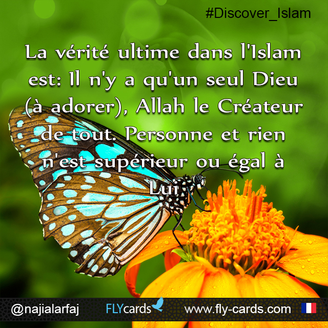 The ultimate truth in Islam is: There is only one God to worship, Allah the Creator of all. No one& nothing is above or equal to Him.