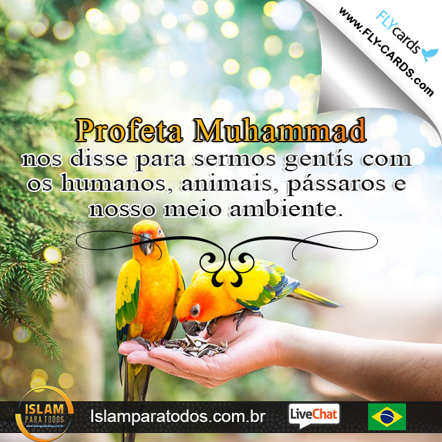 Profeta Muhammad nos disse para sermos gentís com os humanos, animais, pássaros e nosso meio ambiente.