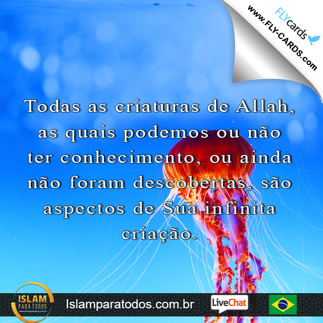 Todas as criaturas de Allah, as quais podemos ou não ter conhecimento, ou ainda não foram descobertas, são aspectos de Sua infinita criação.