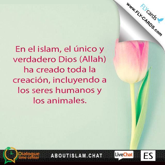 In Islam, the one true God (Allah) has created the entire creation including humans and animals. 