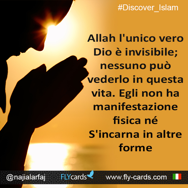 Allah the one true God is invisible; no one can see Him in this life. He is not physically manifested orincarnated in other forms.