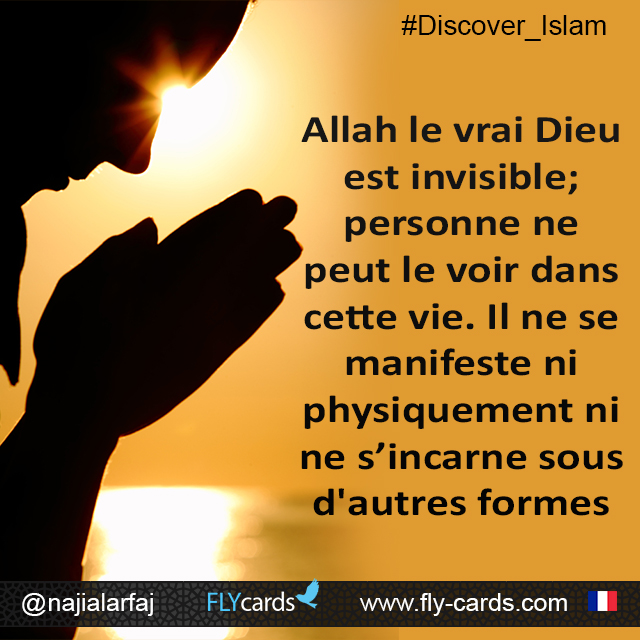 Allah the true God is invisible; no one can see Him in this life. He is not physically manifested or incarnated in other forms.