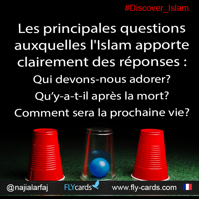 Major questions that Islam clearly answers: Whom should we worship?What comes after death?What is the next life like? 