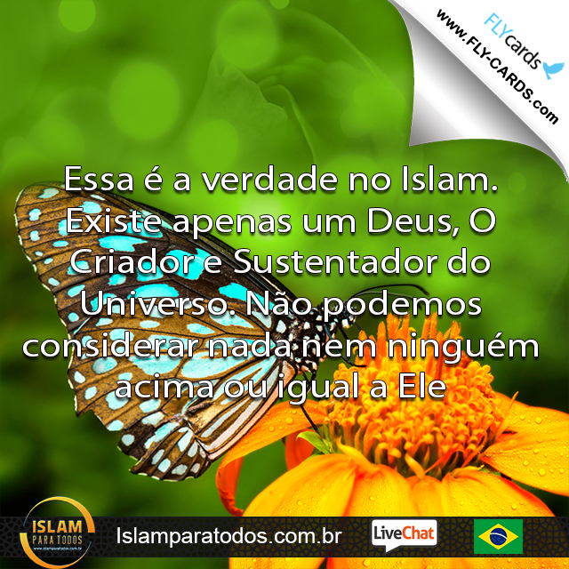  Essa é a verdade no Islam. Existe apenas um Deus, O Criador e Sustentador do Universo. Não podemos considerar nada nem ninguém acima ou igual a Ele.