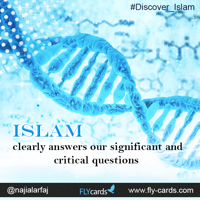 Islam clearly answers our significant, and critical questions.