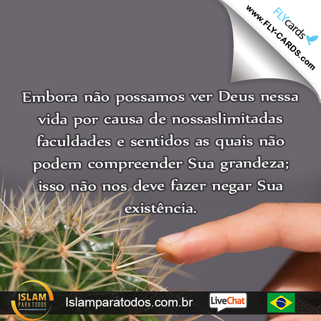  Embora não possamos ver Deus nessa vida por causa de nossaslimitadas faculdades e sentidos as quais não podem compreender Sua grandeza; isso não nos deve fazer negar Sua existência.