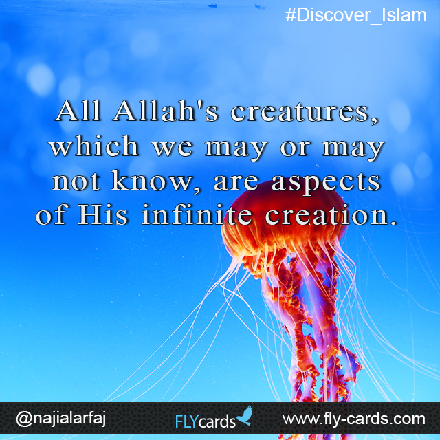 All Allah's creatures, which we may or may not know, are aspects of His infinite creation.