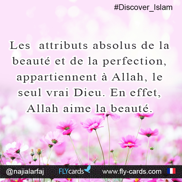 ‘The absolute qualities of beauty and perfection belong only to Allah, the one true God. Indeed, Allah loves beauty’. 