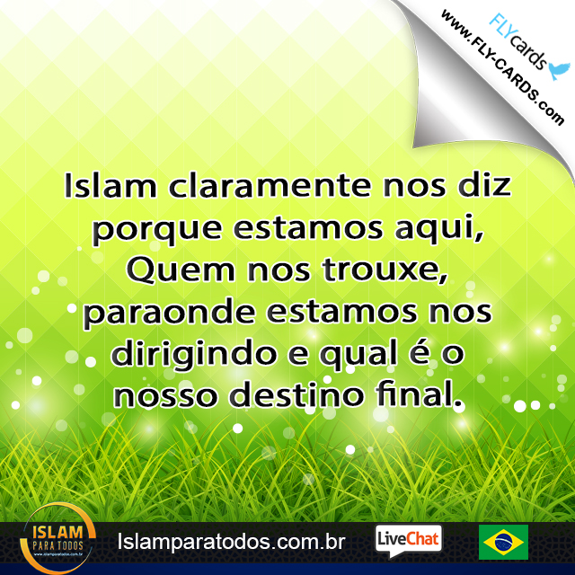  Islam claramente nos diz porque estamos aqui, Quem nos trouxe, paraonde estamos nos dirigindo e qual é o nosso destino final.